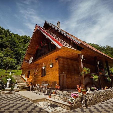 Cabana Daria Ribicioara Екстериор снимка