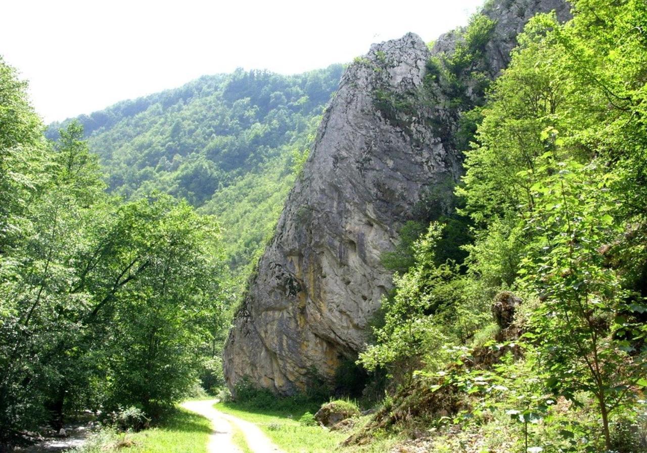 Cabana Daria Ribicioara Екстериор снимка