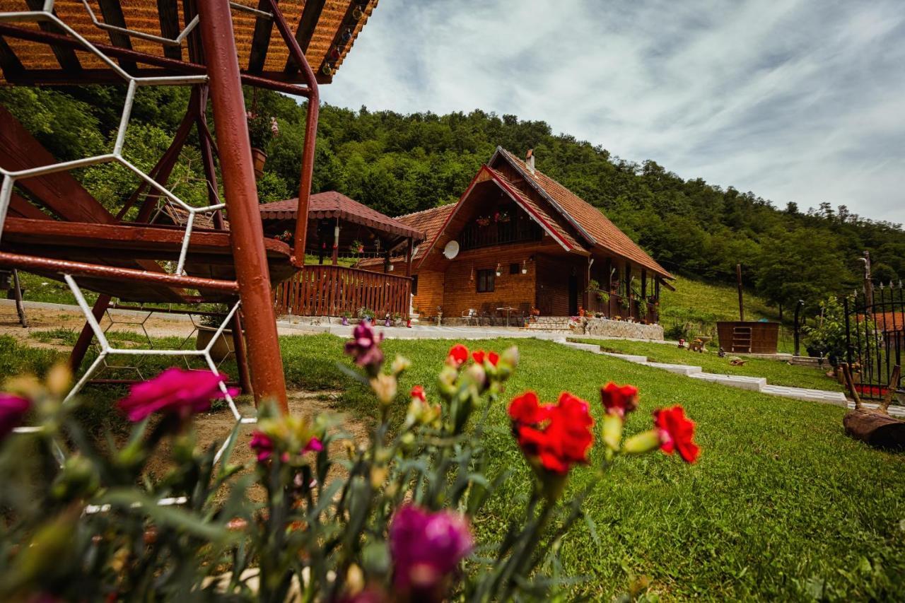 Cabana Daria Ribicioara Екстериор снимка