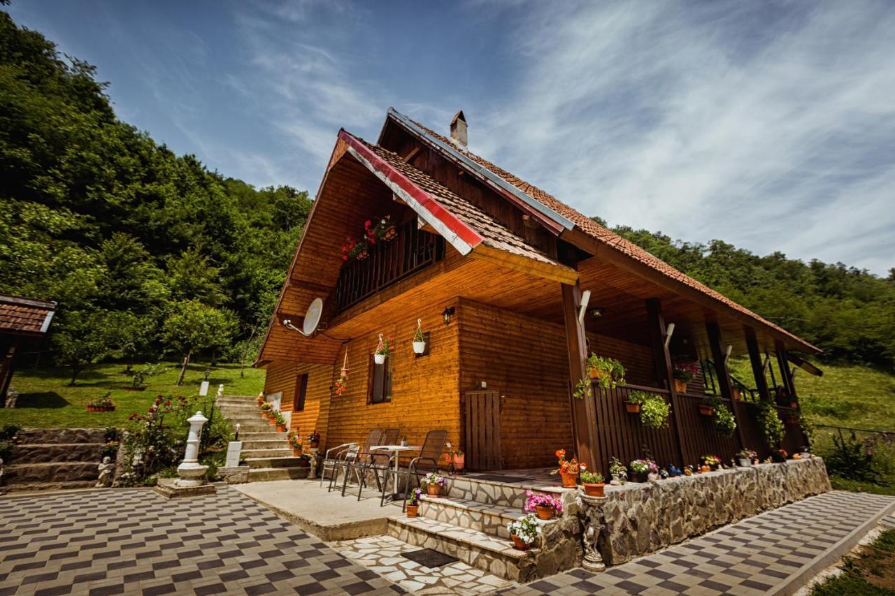 Cabana Daria Ribicioara Екстериор снимка