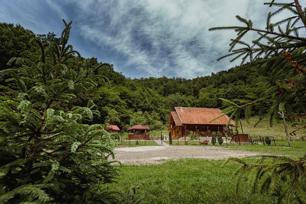Cabana Daria Ribicioara Екстериор снимка
