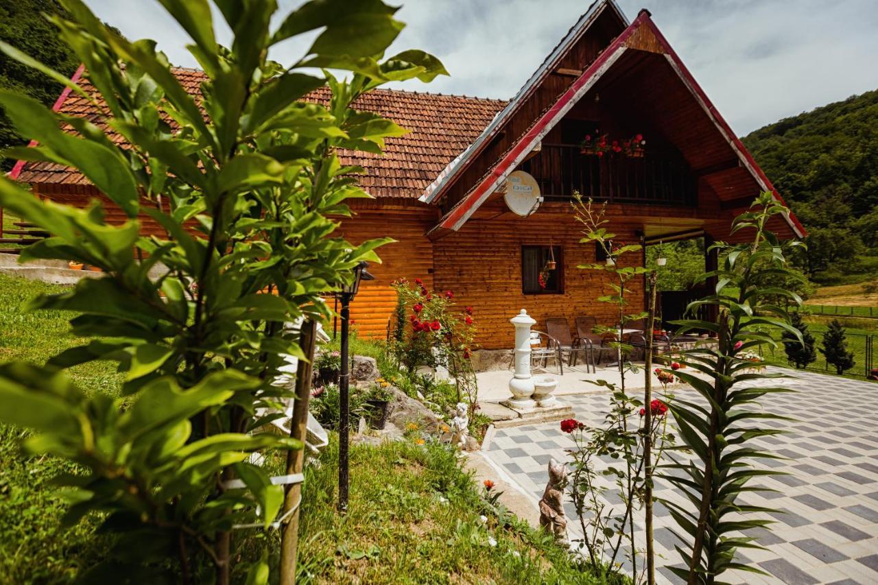 Cabana Daria Ribicioara Екстериор снимка
