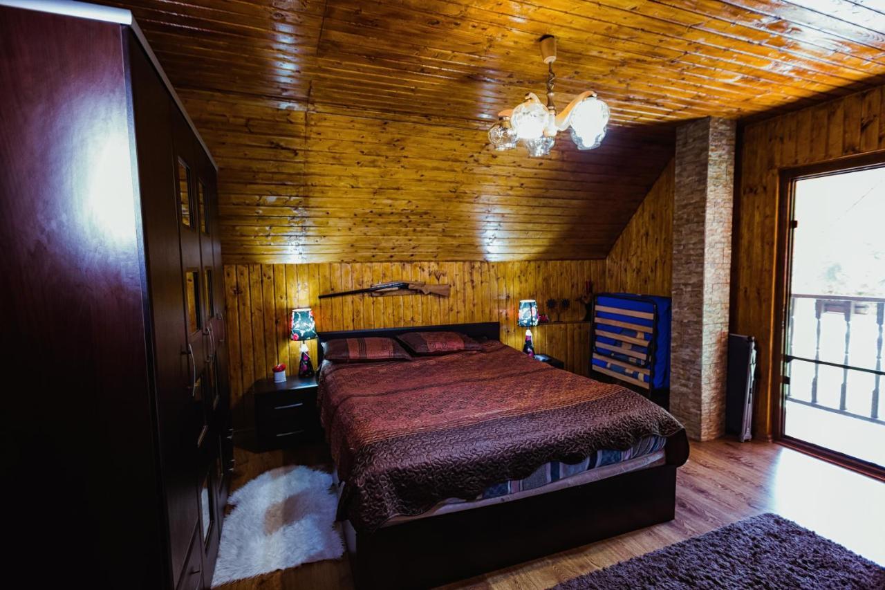 Cabana Daria Ribicioara Екстериор снимка