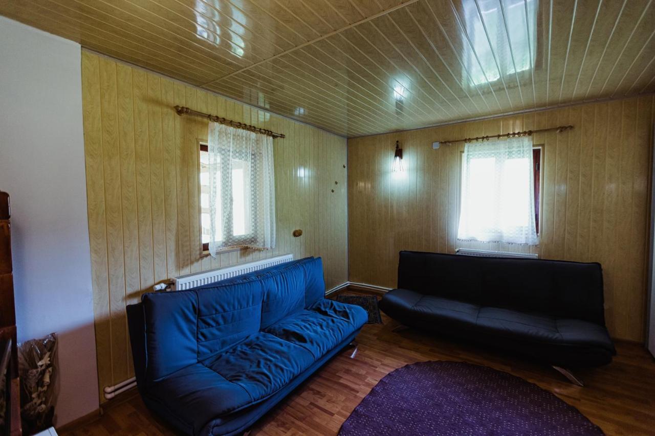 Cabana Daria Ribicioara Екстериор снимка
