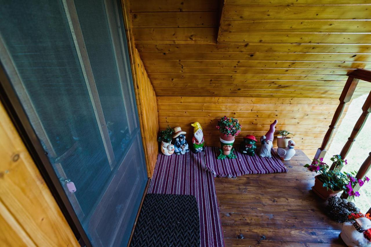 Cabana Daria Ribicioara Екстериор снимка