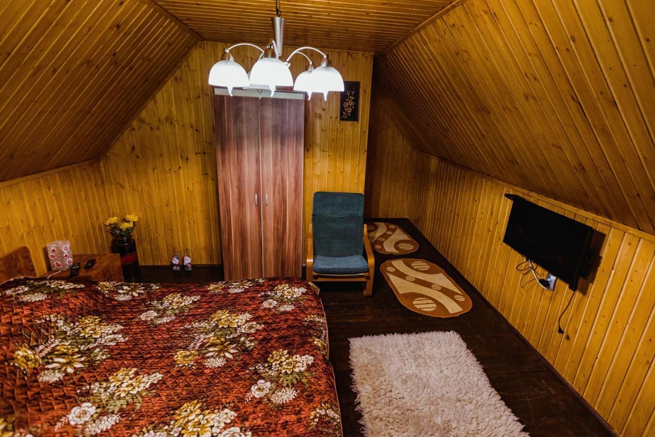 Cabana Daria Ribicioara Екстериор снимка