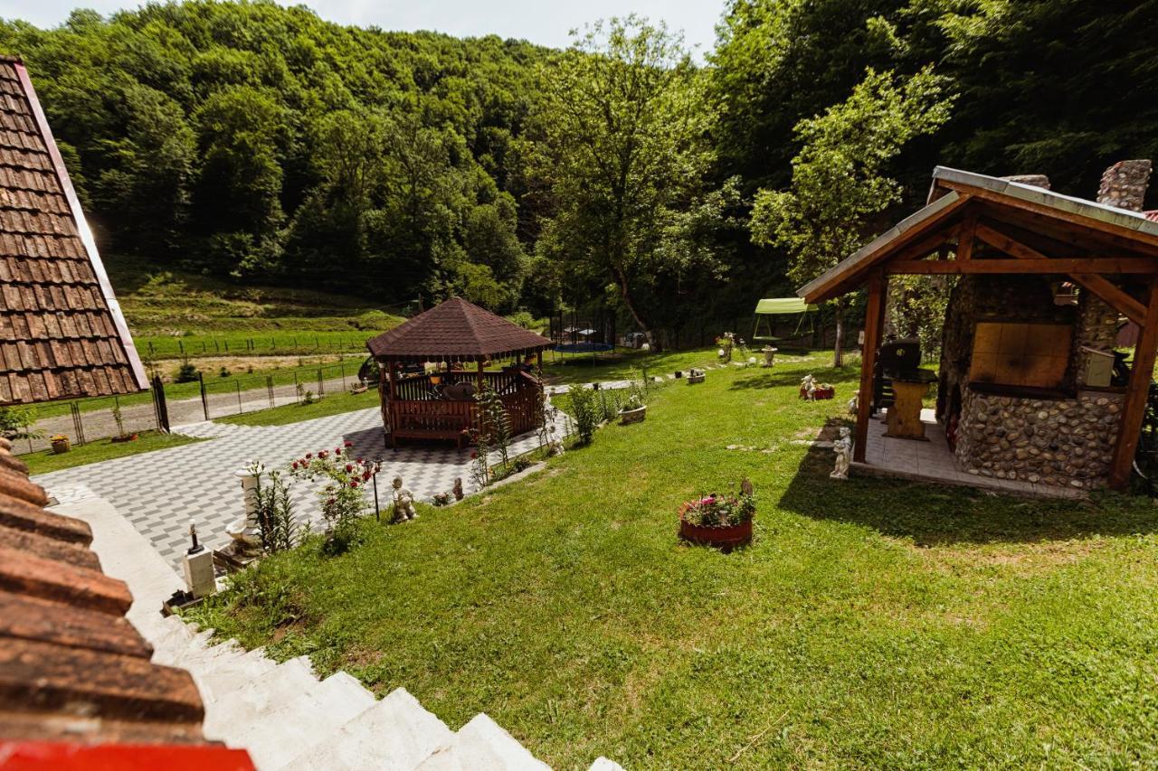 Cabana Daria Ribicioara Екстериор снимка