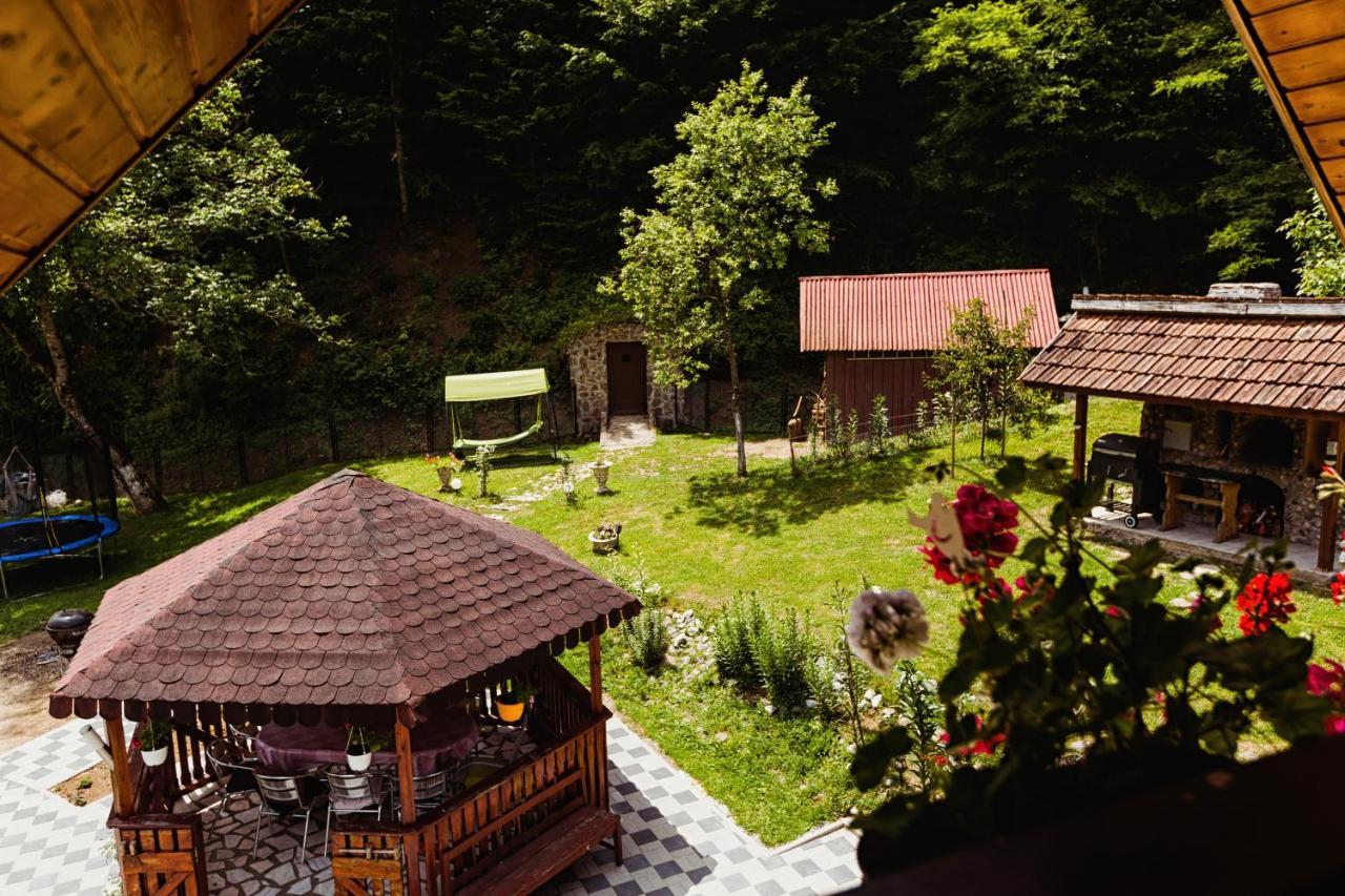 Cabana Daria Ribicioara Екстериор снимка