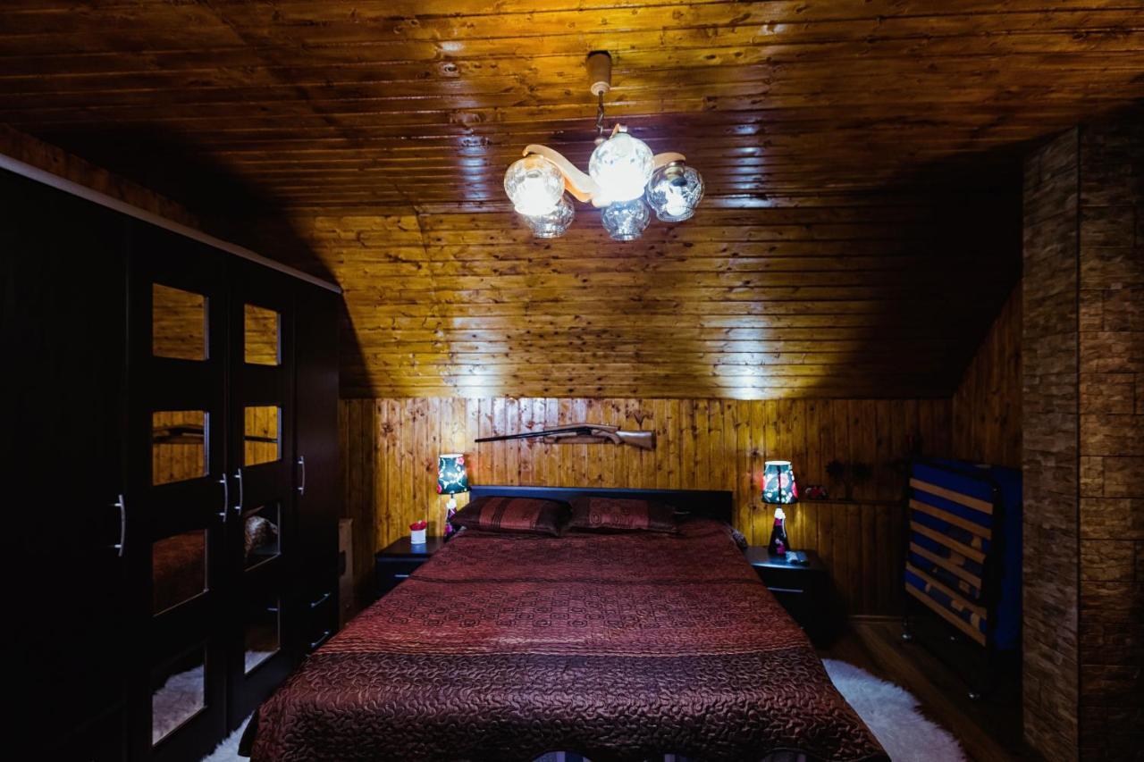 Cabana Daria Ribicioara Екстериор снимка