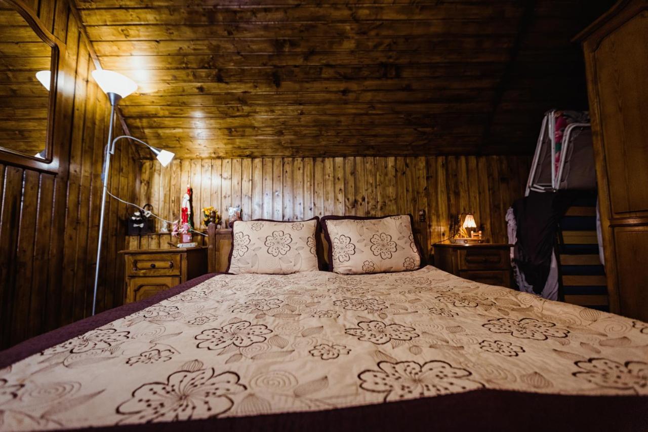 Cabana Daria Ribicioara Екстериор снимка