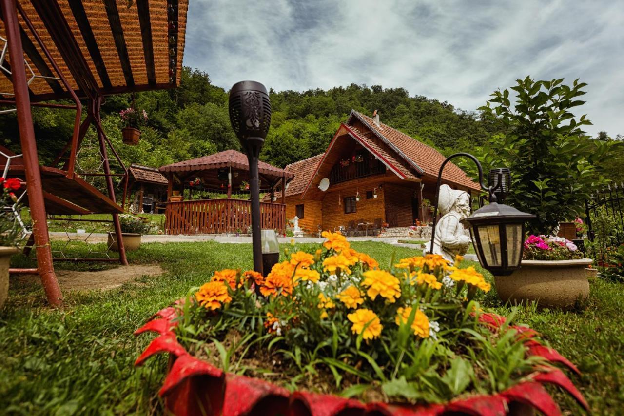 Cabana Daria Ribicioara Екстериор снимка