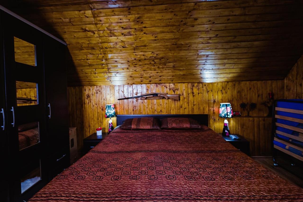 Cabana Daria Ribicioara Екстериор снимка