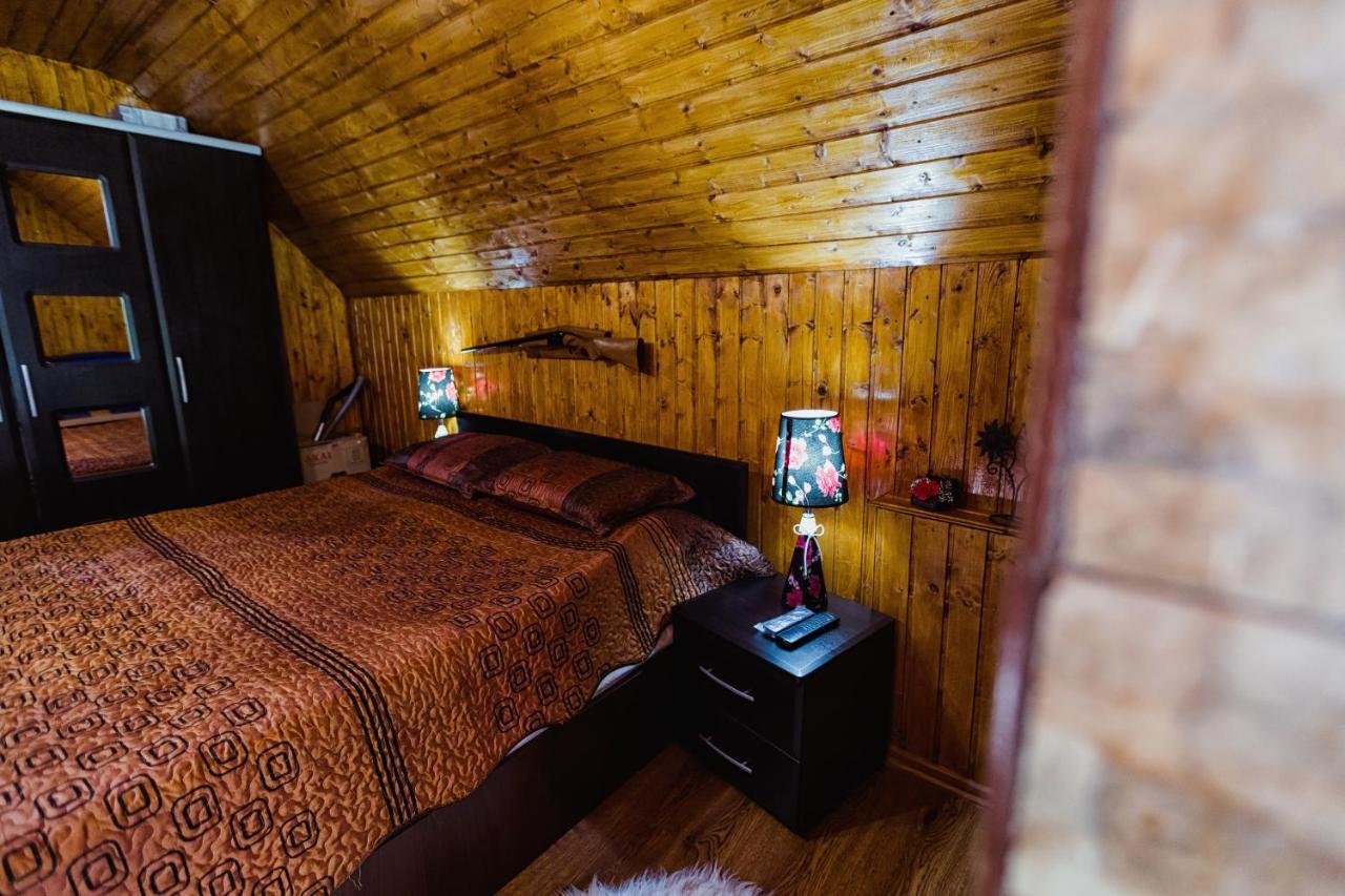 Cabana Daria Ribicioara Екстериор снимка