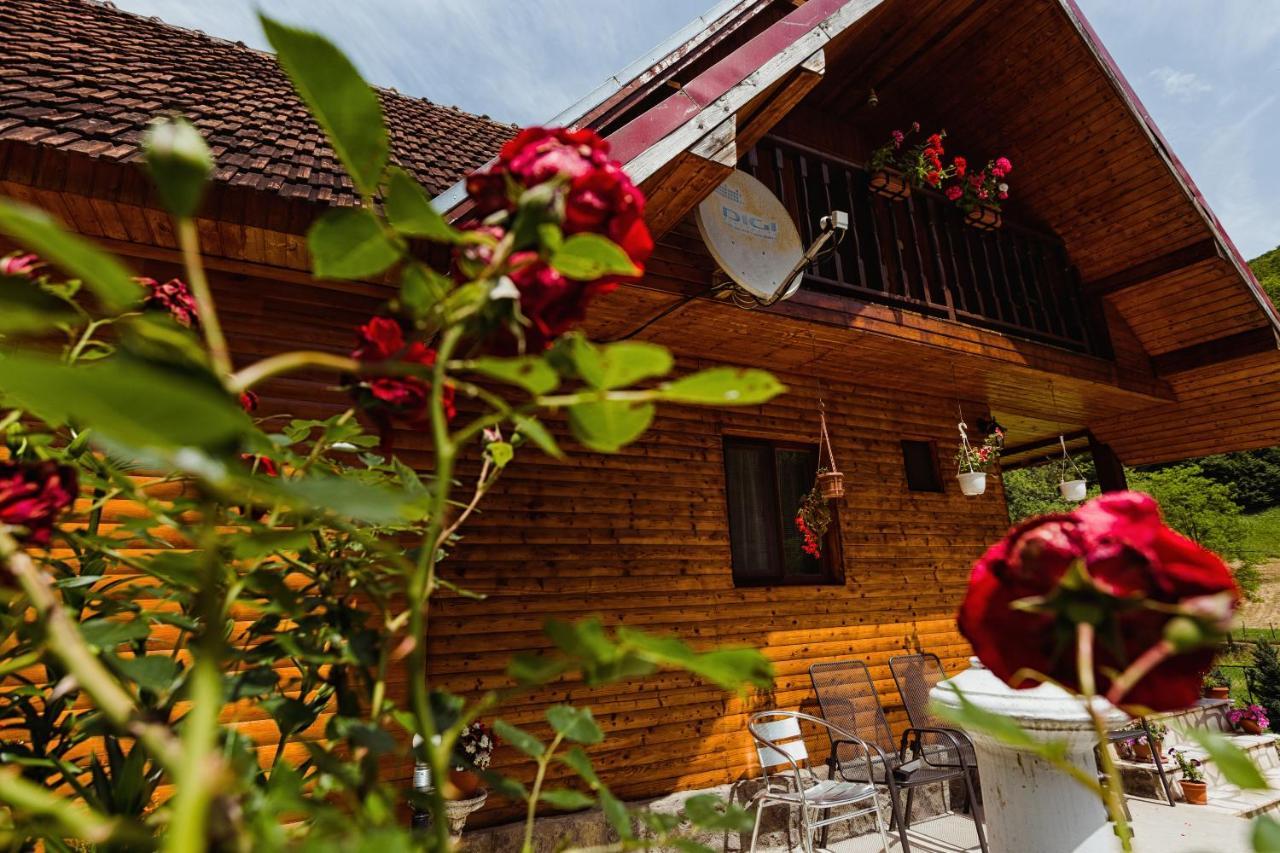 Cabana Daria Ribicioara Екстериор снимка
