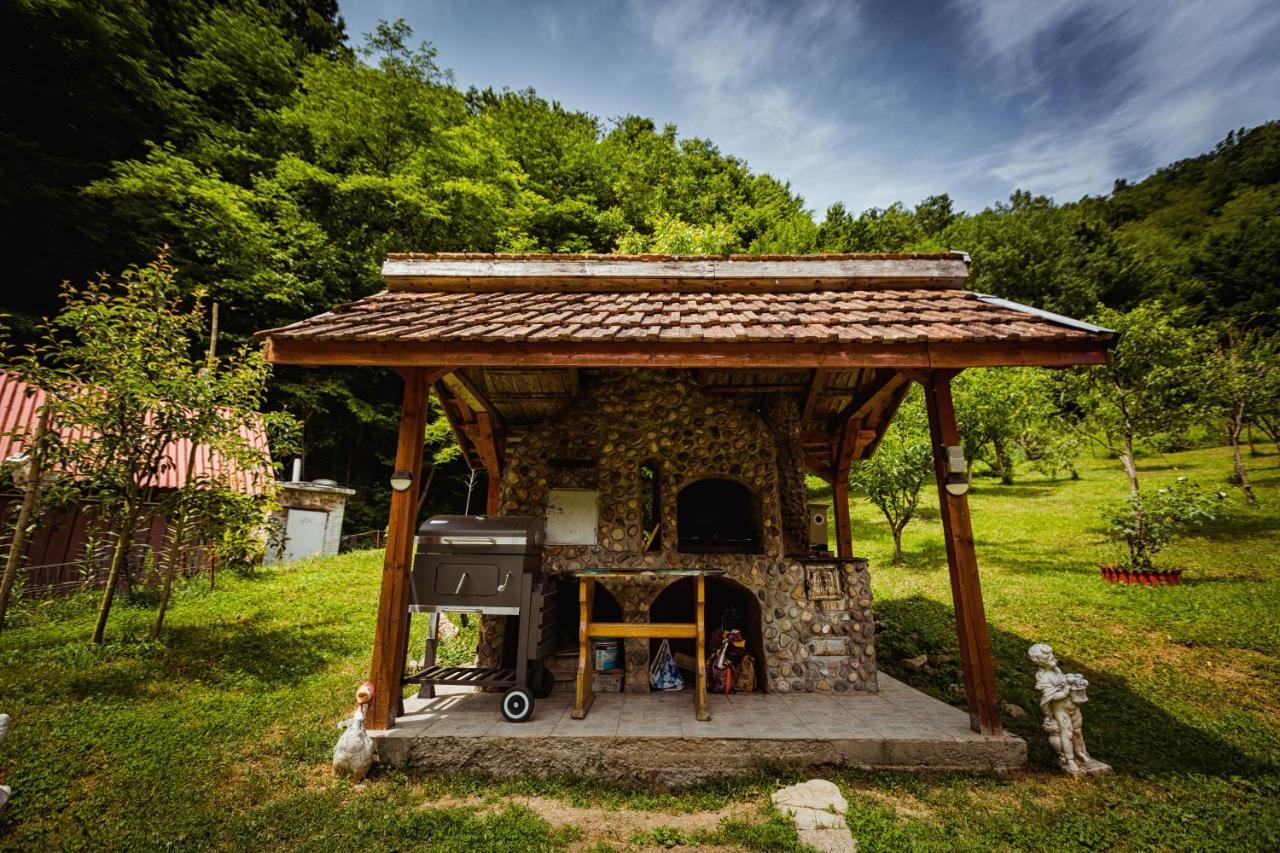 Cabana Daria Ribicioara Екстериор снимка