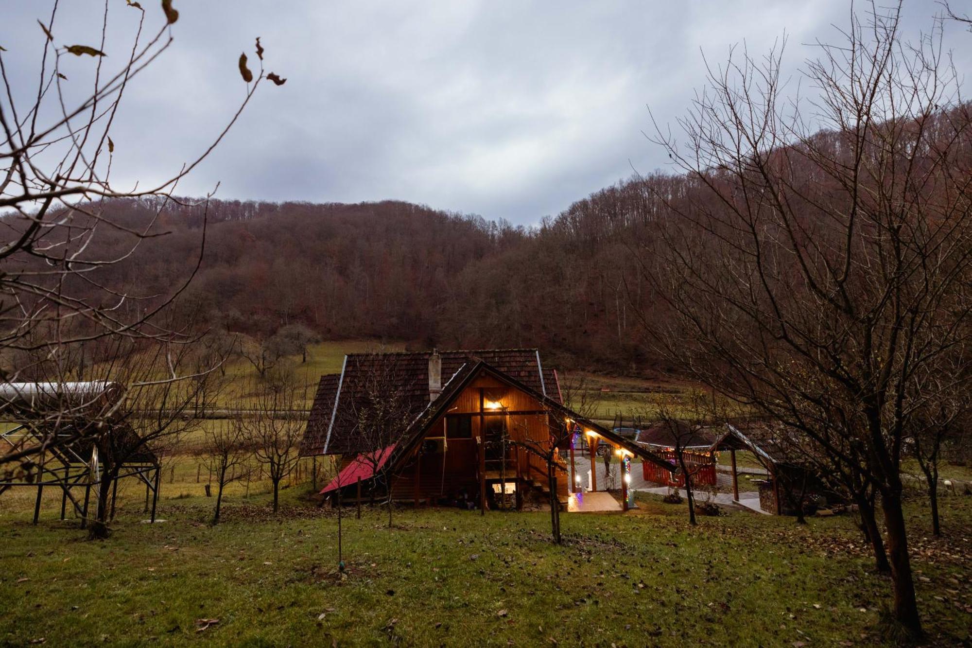 Cabana Daria Ribicioara Екстериор снимка