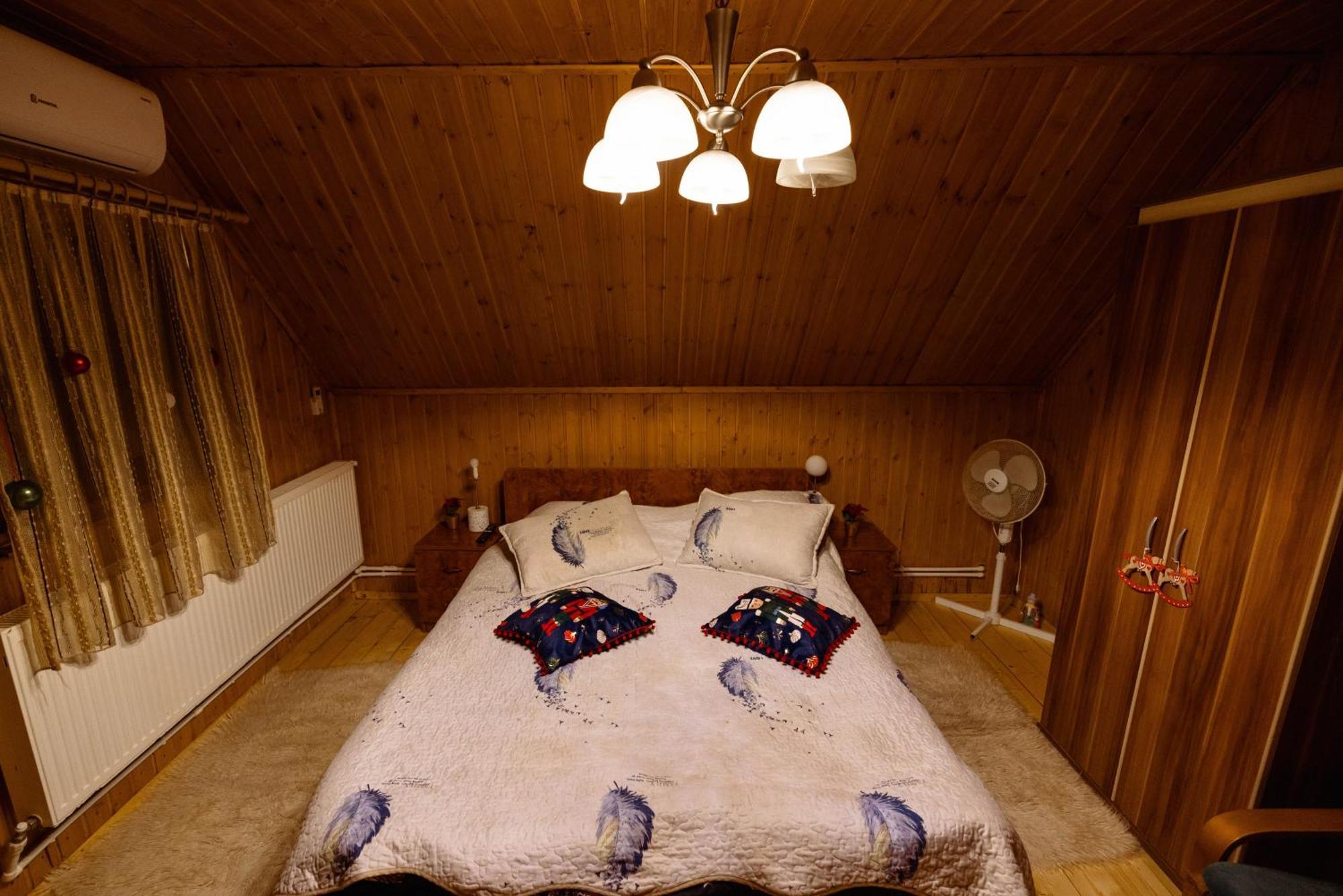 Cabana Daria Ribicioara Екстериор снимка