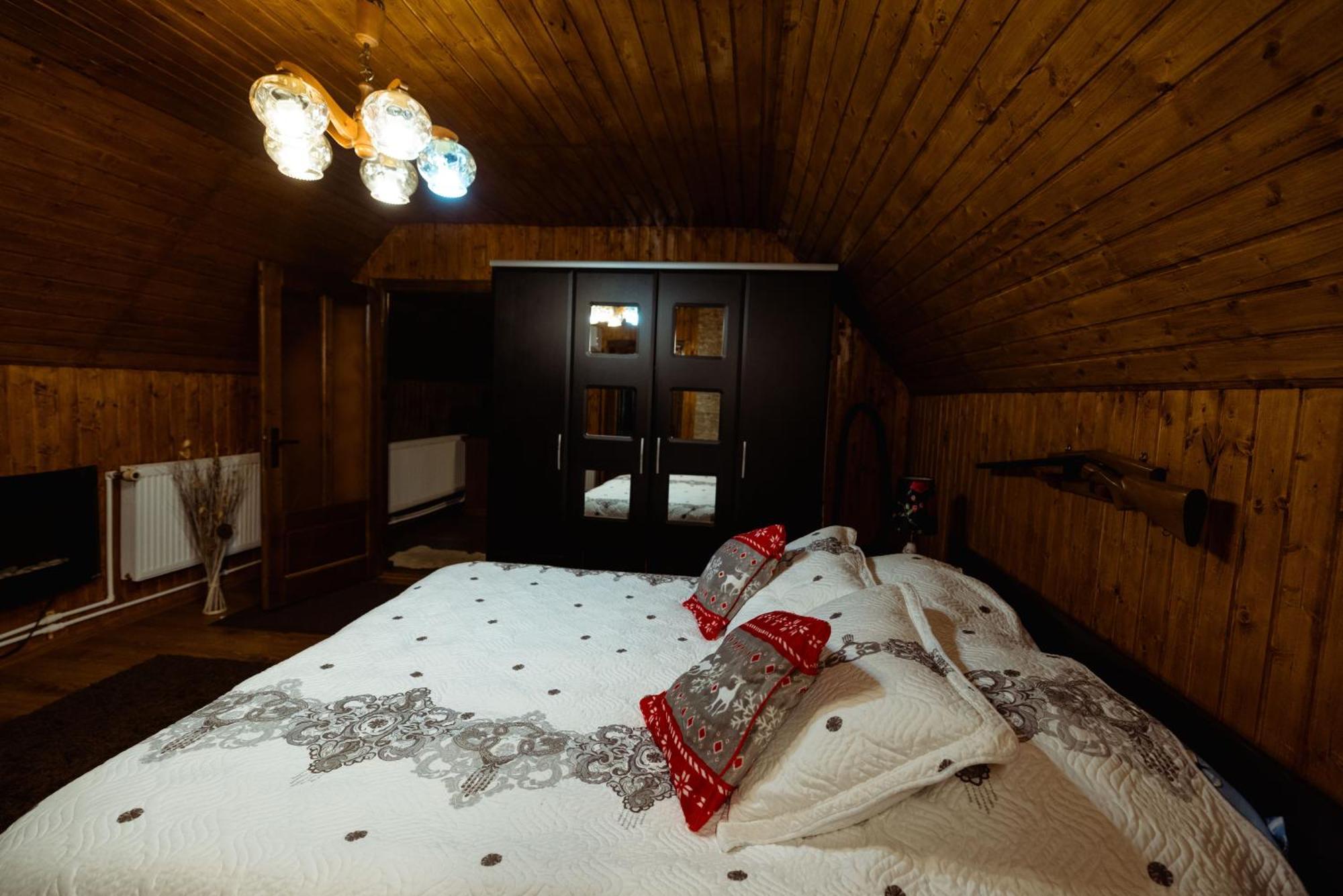 Cabana Daria Ribicioara Екстериор снимка