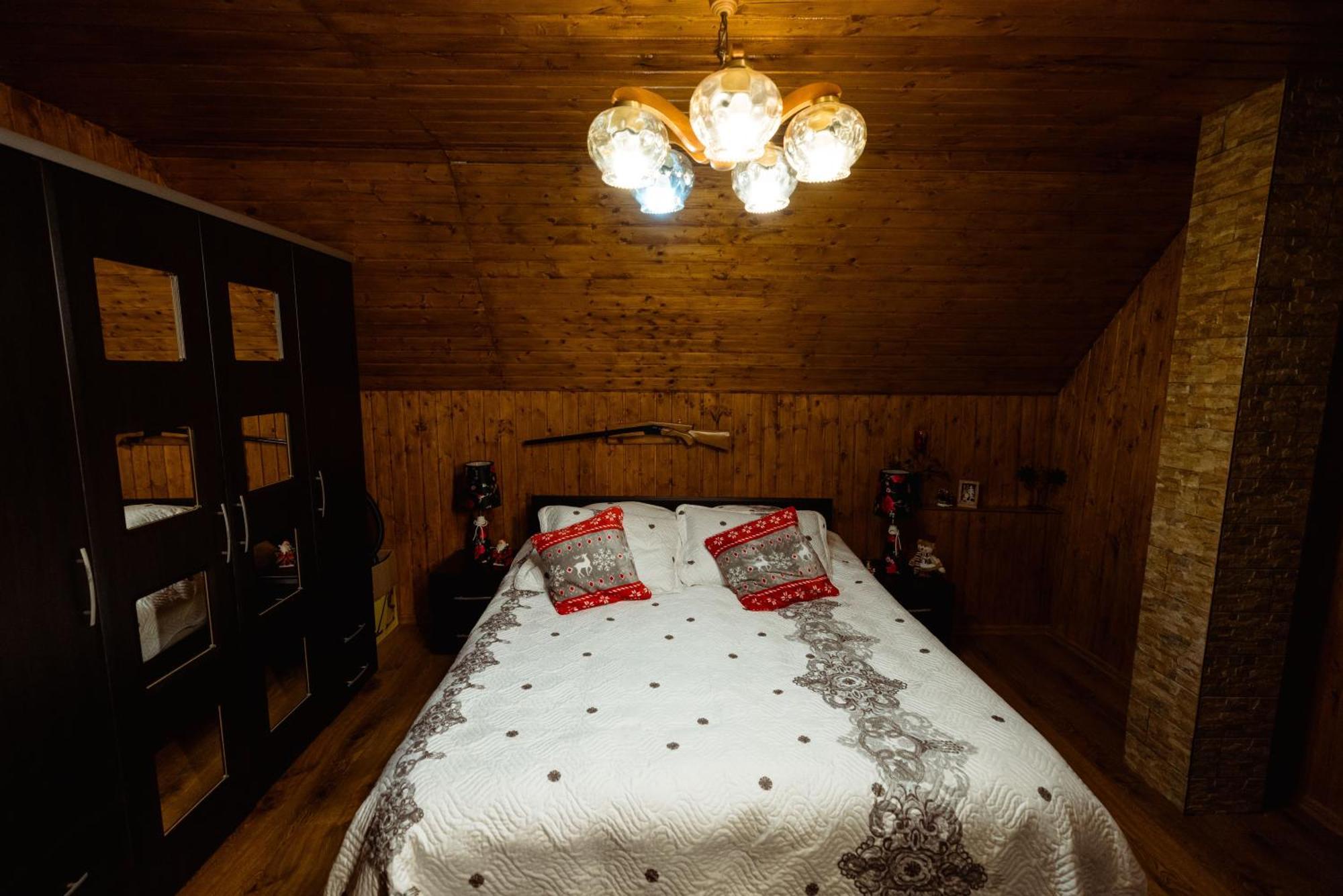 Cabana Daria Ribicioara Екстериор снимка